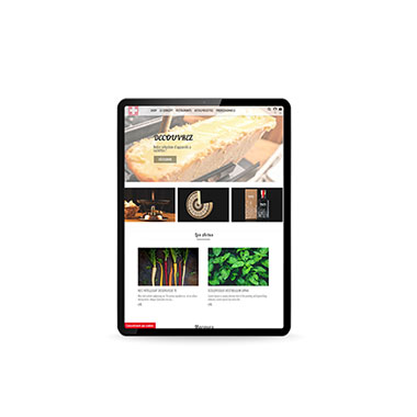 Création de site Prestashop – Réalisation Agence TAG – Exemple : Tradiswiss Shop